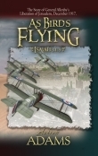 As Birds Flying  Prophecy fulfilled with the capture of Jerusalem in 1917